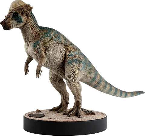Pachycephalosaurus (Prototype Shown) View 7