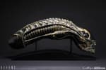 Gallery Image of Alien Warrior Life-Size Head Prop Replica
