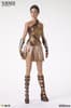 Gallery Image of Wonder Woman Training Armor Collectible Doll