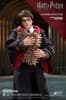 Gallery Image of Harry Potter and Dobby Twin Pack Collectible Figure