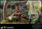 Gallery Image of Wicket Sixth Scale Figure