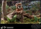 Gallery Image of Wicket Sixth Scale Figure