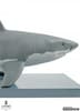 Gallery Image of White Shark Figurine