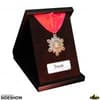 Gallery Image of The Medallion of Dracula Prop Replica