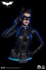 Gallery Image of Catwoman (Selina Kyle) Life-Size Bust