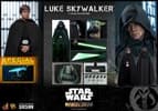 Gallery Image of Luke Skywalker (Special Edition) Sixth Scale Figure