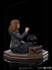 Gallery Image of Hermione Granger Polyjuice 1:10 Scale Statue