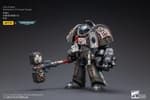 Gallery Image of Grey Knights Terminator Caddon Vibova Collectible Figure