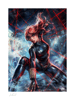 Black Widow Art Print