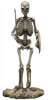 Skeleton Army (Normal Version) Statue