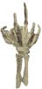 Fossilized Creature Hand Scaled Replica
