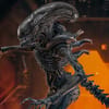 Alien Scorched Xenomorph Sixth Scale Figure