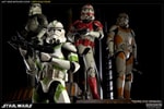 442nd Siege Battalion Clone Trooper View 10