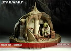 Yodas Hut - Dagobah View 5
