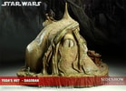 Yodas Hut - Dagobah View 12