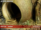 Yodas Hut - Dagobah View 20