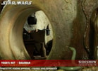Yodas Hut - Dagobah View 21