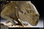 Dewback View 4