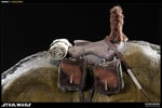 Dewback View 5