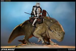 Dewback View 14