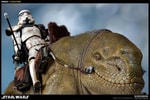 Dewback View 16