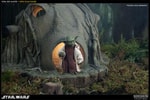 Yoda: Jedi Master Collector Edition (Prototype Shown) View 10