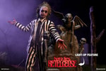 Beetlejuice View 14