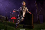 Beetlejuice View 15
