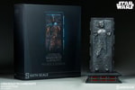 Han Solo in Carbonite