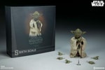 Yoda View 13