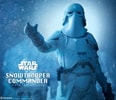 Snowtrooper Commander (Prototype Shown) View 1