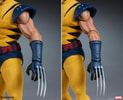 Wolverine Collector Edition View 2