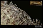 Carnotaurus Collector Edition View 9