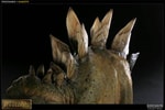 Stegosaurus Collector Edition View 10