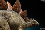 Stegosaurus View 4