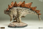 Stegosaurus View 8