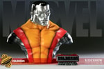 Colossus View 1
