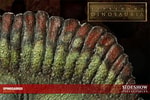 Spinosaurus Collector Edition View 7