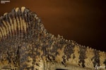 Spinosaurus (Prototype Shown) View 10