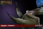 Tupuxuara - Pterodactyl View 12