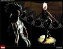 Women of Marvel: Storm Collector Edition View 7