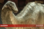Apatosaurus Collector Edition View 2