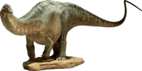 Apatosaurus View 12