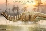 Apatosaurus View 1