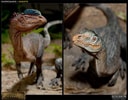 Dilophosaurus Collector Edition View 7