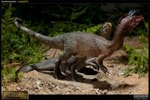 Dilophosaurus Collector Edition View 9