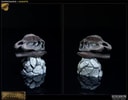 Dilophosaurus View 2
