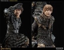 Frodo and Samwise Collector Edition View 3
