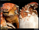 Euoplocephalus in Egg View 4