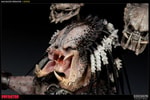 Predator Bad Blood View 6